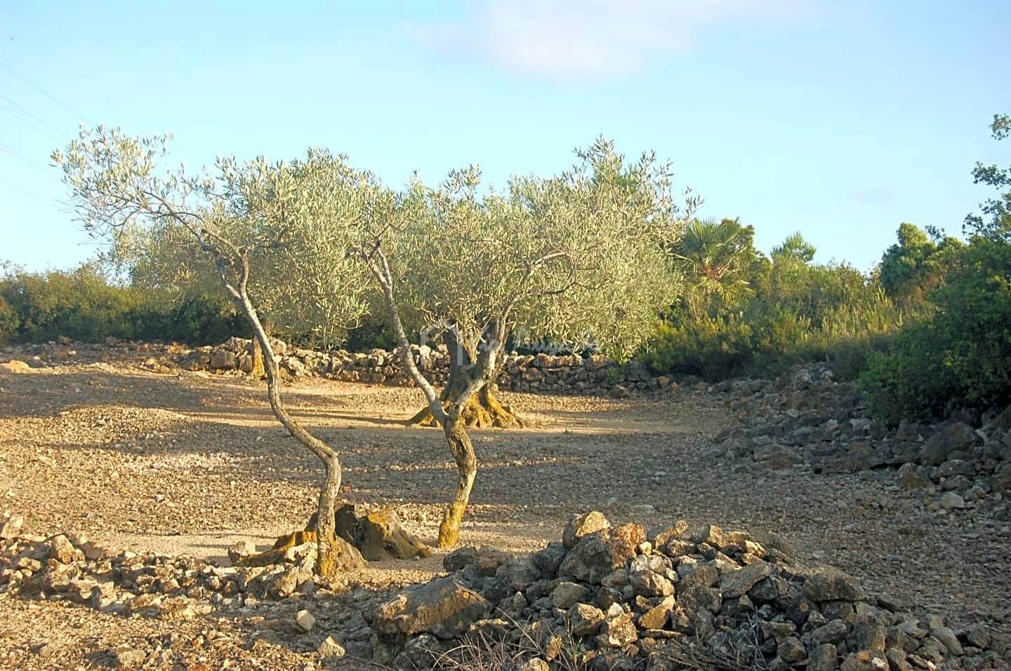 Grond te koop in El Perello - € 15.000 (Ref: 6224068)