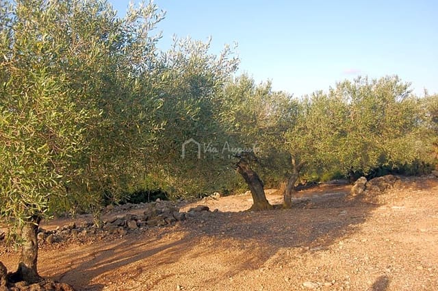 Ubebygd land til salgs i El Perelló - € 15 000 (Ref: 6224068)