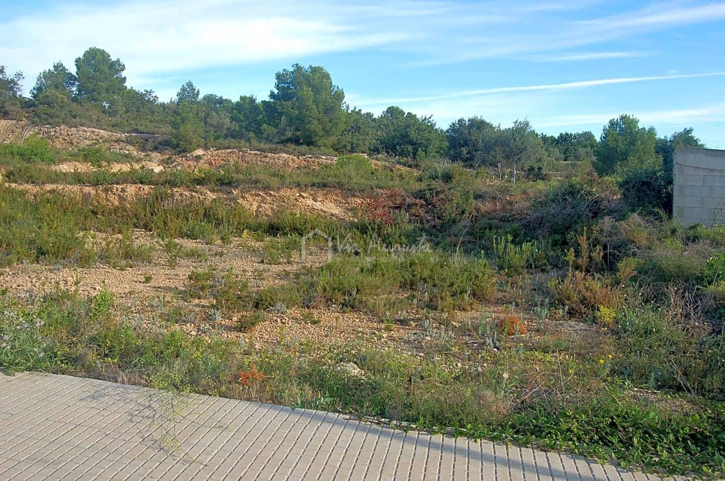 Terre non Aménagée à vendre à El Perello - 70 000 € (Ref: 6358673)