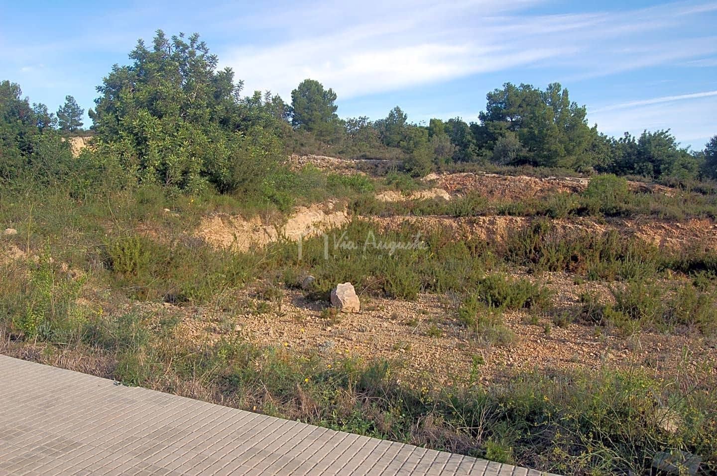 Terre non Aménagée à vendre à El Perello - 70 000 € (Ref: 6358673)