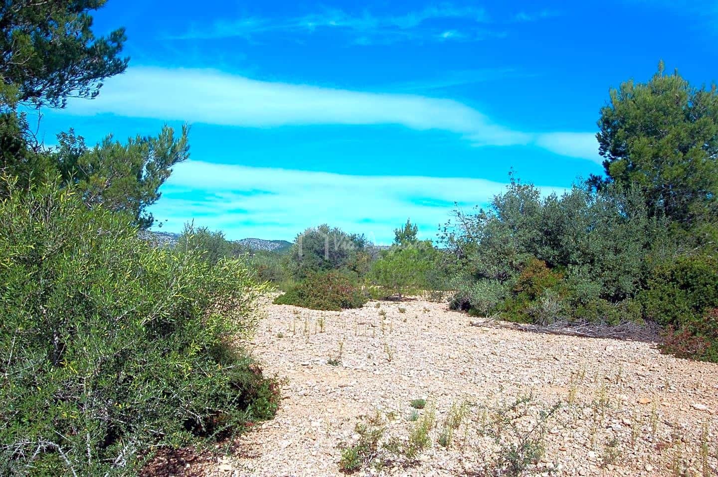 Grunde uden byggetilladelser til salg i L'Ampolla - € 80.000 (Ref: 6362528)