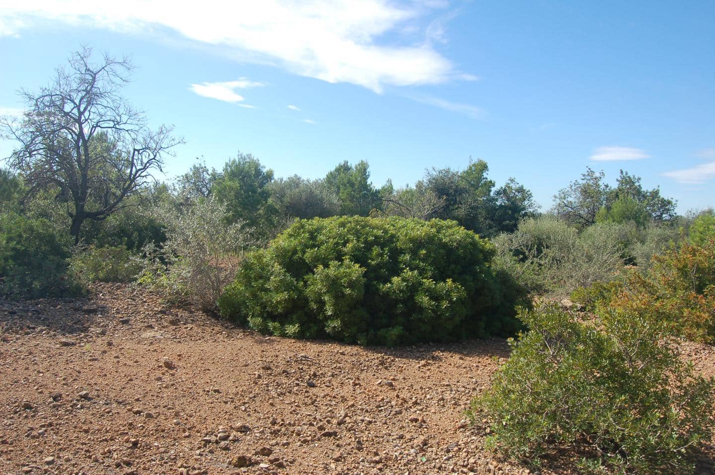 Grunde uden byggetilladelser til salg i L'Ampolla - € 80.000 (Ref: 6362528)