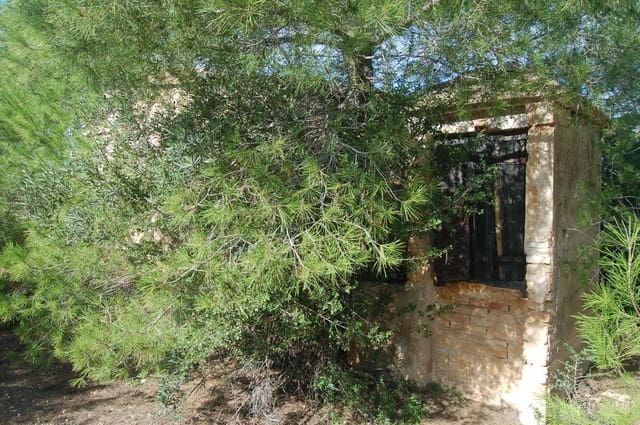 Grunde uden byggetilladelser til salg i L'Ampolla - € 80.000 (Ref: 6362528)