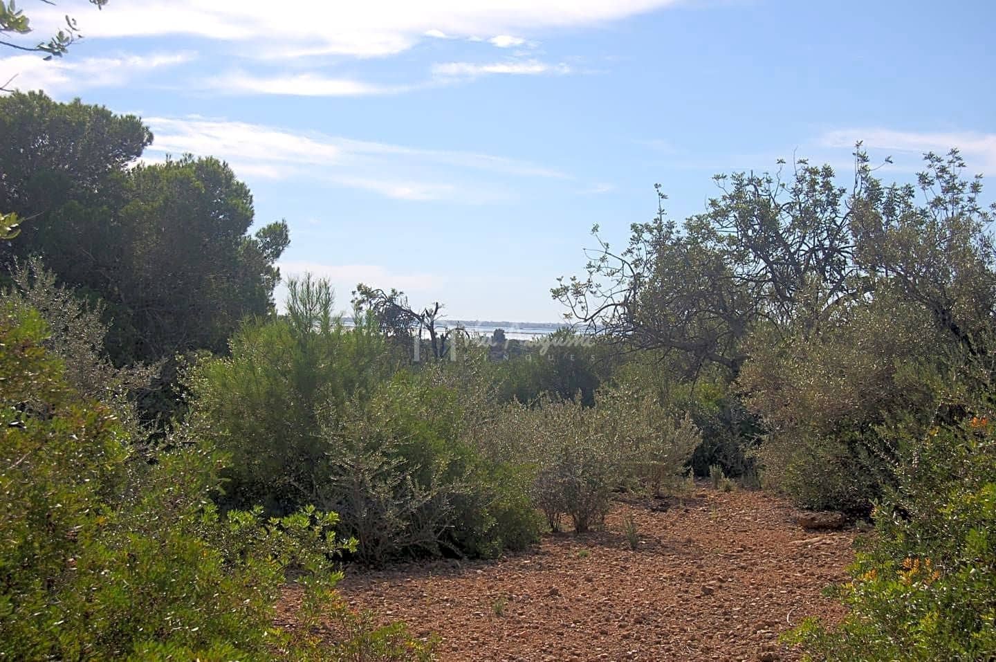 Grunde uden byggetilladelser til salg i L'Ampolla - € 80.000 (Ref: 6362528)