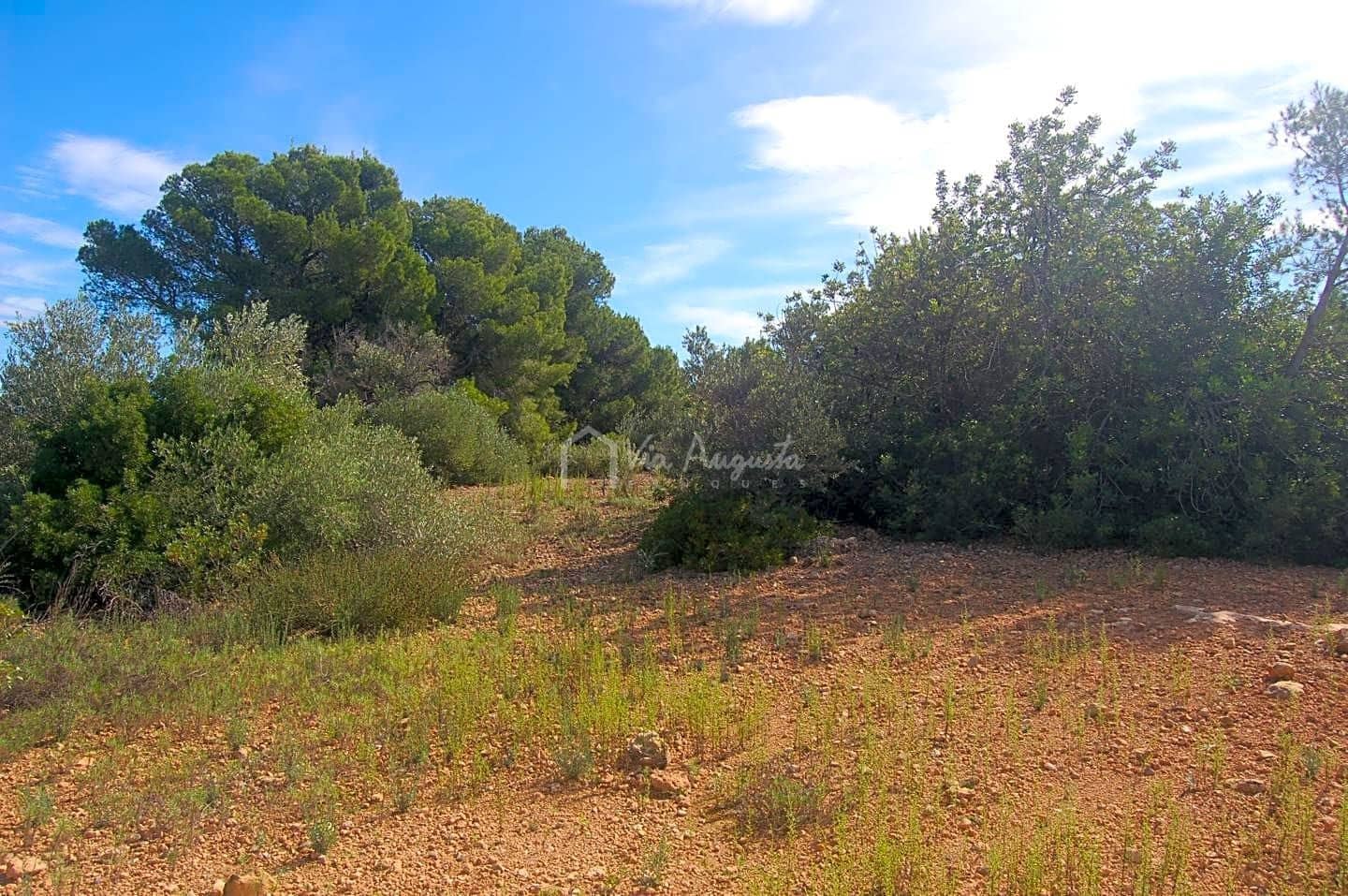 Grunde uden byggetilladelser til salg i L'Ampolla - € 80.000 (Ref: 6362528)