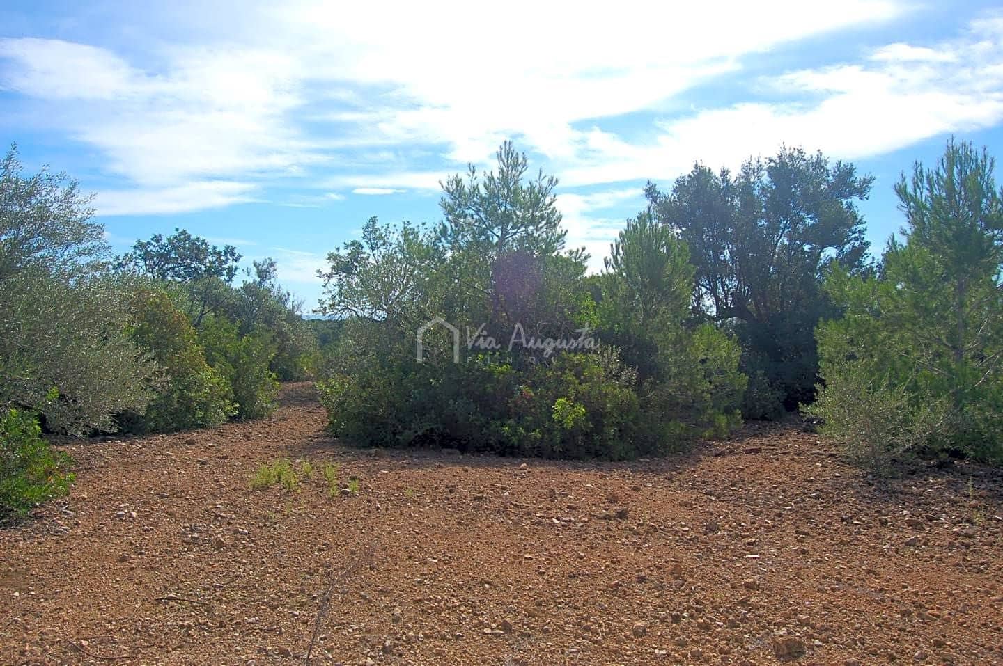 Grunde uden byggetilladelser til salg i L'Ampolla - € 80.000 (Ref: 6362528)