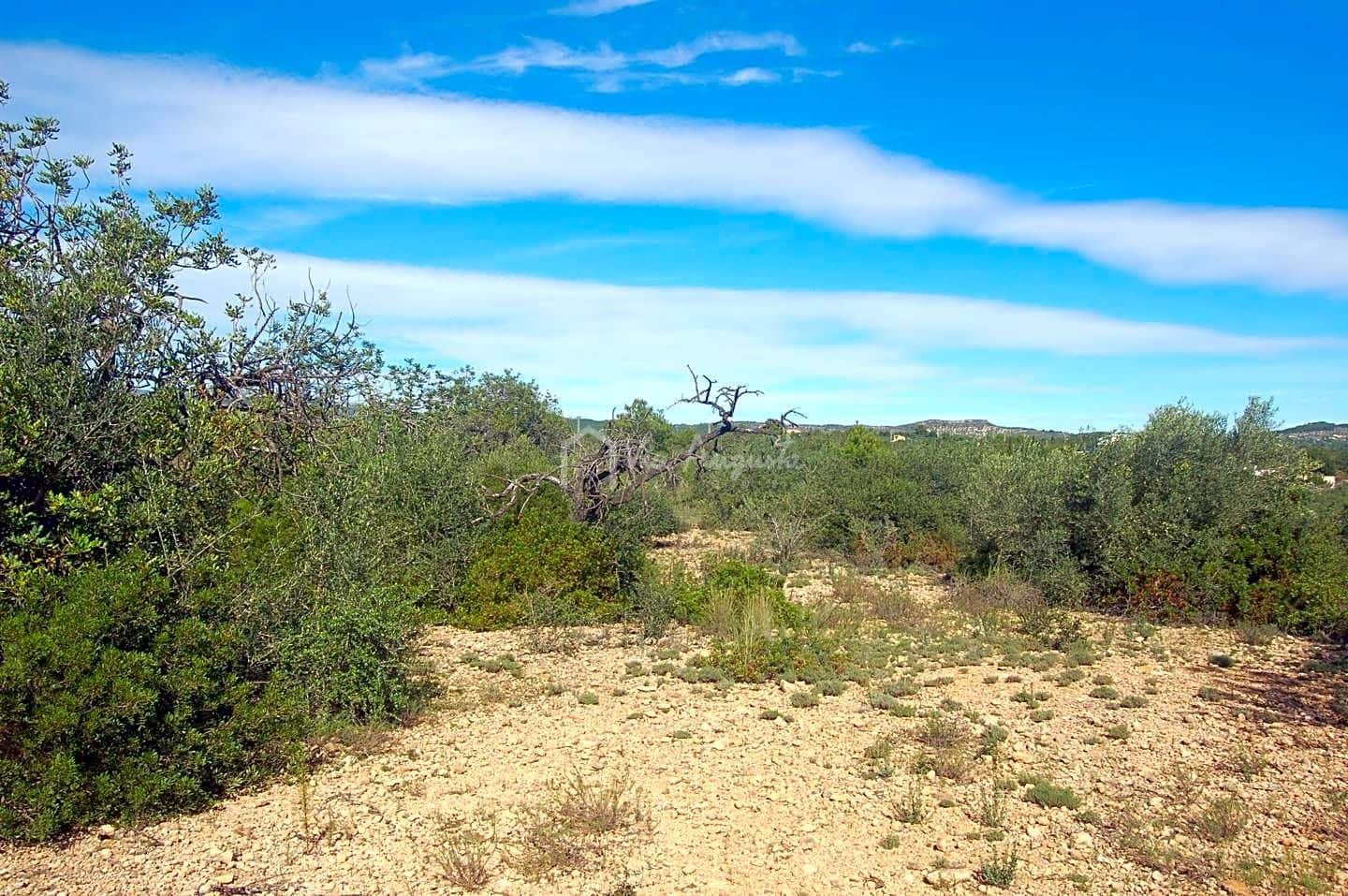 Grunde uden byggetilladelser til salg i L'Ampolla - € 80.000 (Ref: 6362528)