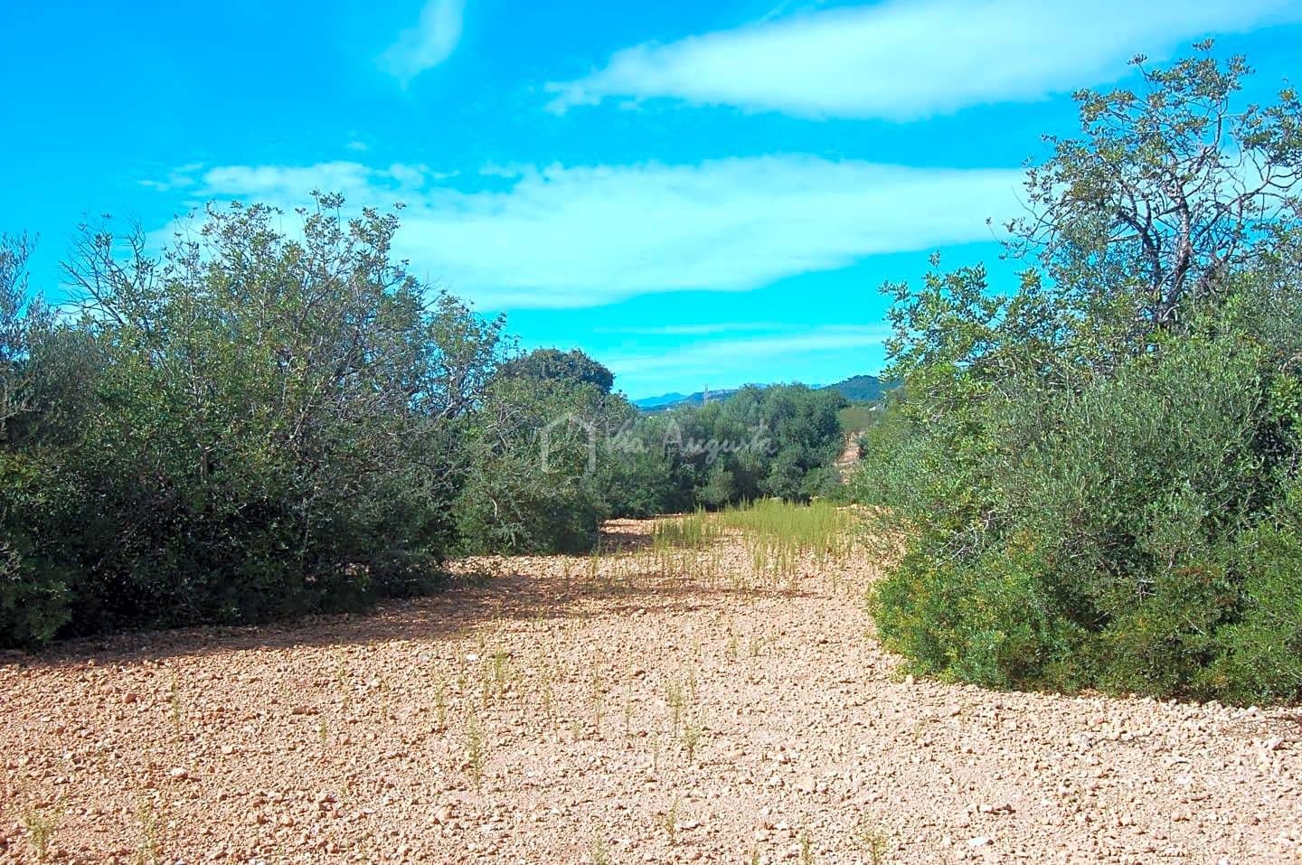 Grunde uden byggetilladelser til salg i L'Ampolla - € 80.000 (Ref: 6362528)