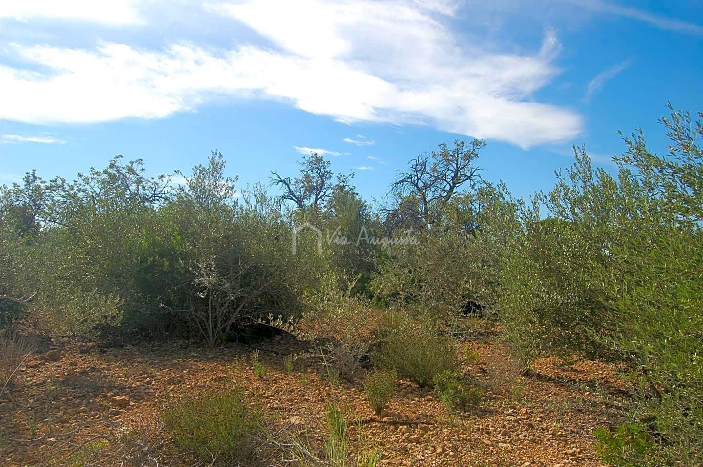 Grunde uden byggetilladelser til salg i L'Ampolla - € 80.000 (Ref: 6362528)