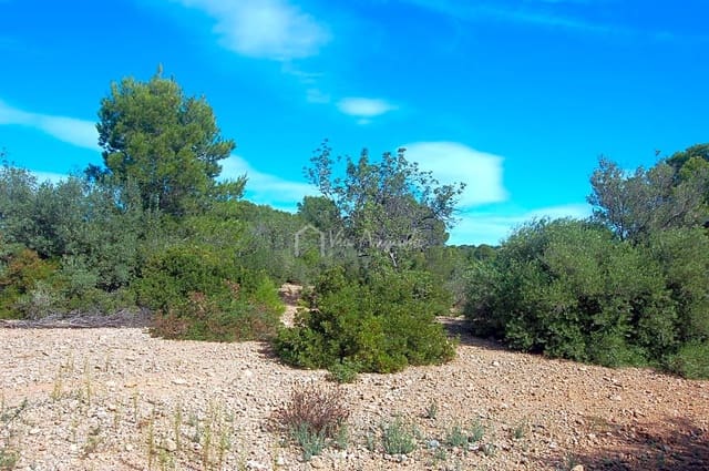 Grunde uden byggetilladelser til salg i L'Ampolla - € 80.000 (Ref: 6362528)