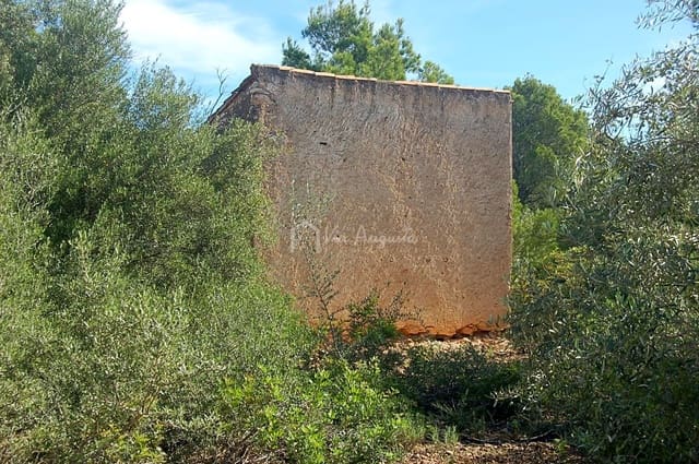 Grunde uden byggetilladelser til salg i L'Ampolla - € 80.000 (Ref: 6362528)