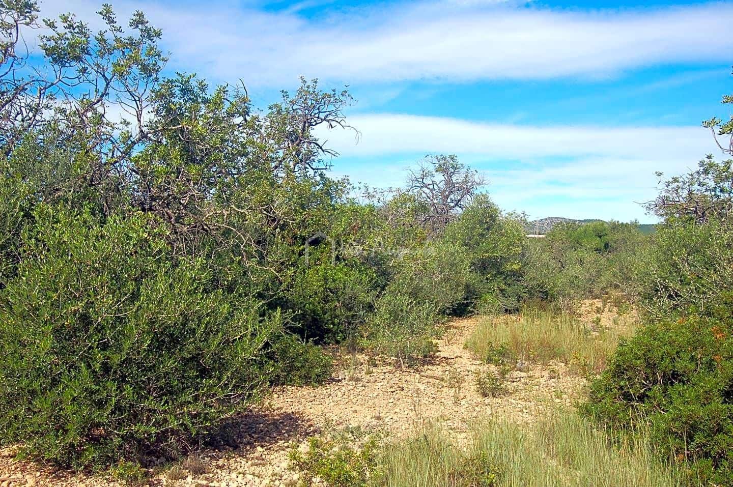 Grunde uden byggetilladelser til salg i L'Ampolla - € 80.000 (Ref: 6362528)