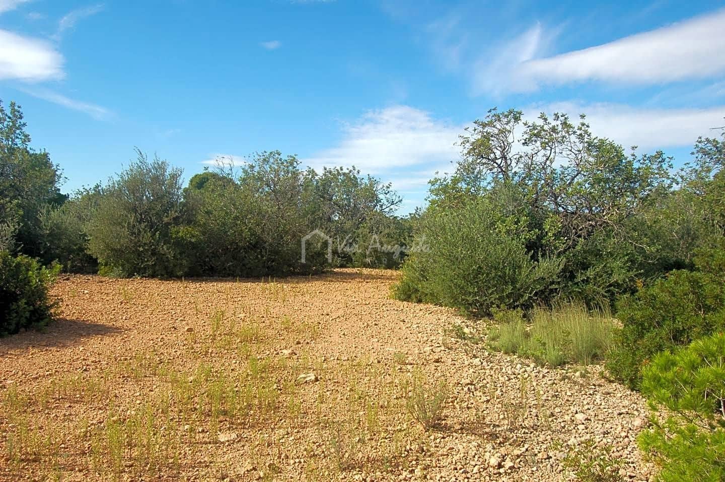 Grunde uden byggetilladelser til salg i L'Ampolla - € 80.000 (Ref: 6362528)