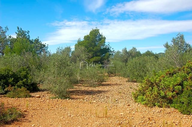 Grunde uden byggetilladelser til salg i L'Ampolla - € 80.000 (Ref: 6362528)