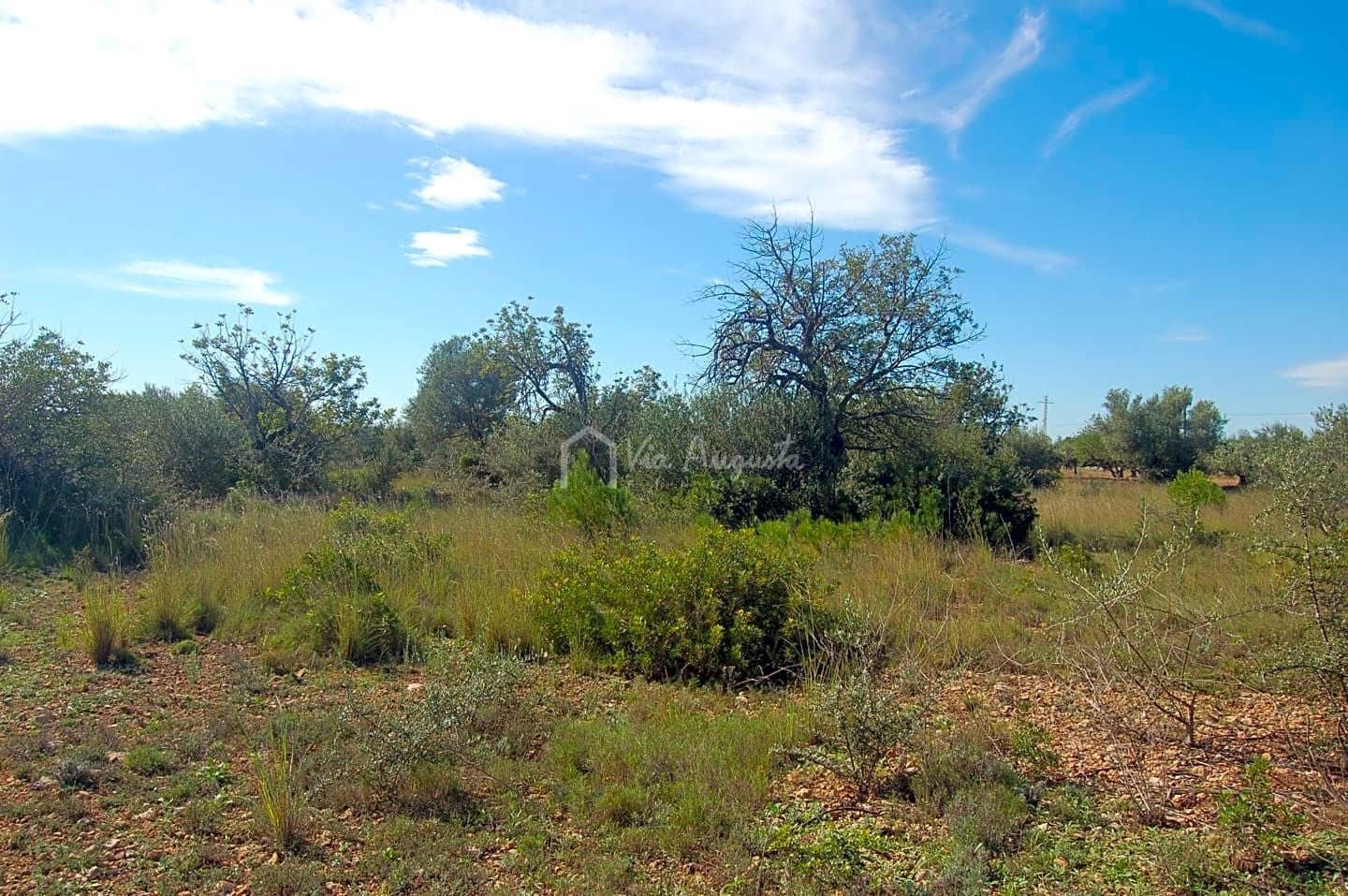 Grunde uden byggetilladelser til salg i L'Ampolla - € 80.000 (Ref: 6362528)