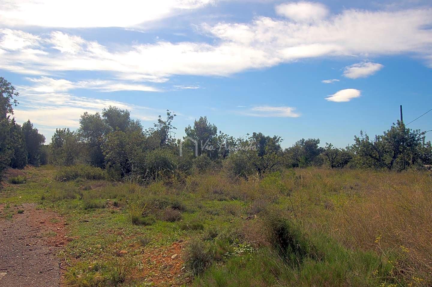 Grunde uden byggetilladelser til salg i L'Ampolla - € 80.000 (Ref: 6362528)