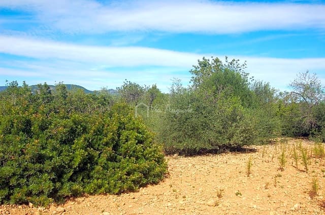 Grunde uden byggetilladelser til salg i L'Ampolla - € 80.000 (Ref: 6362528)