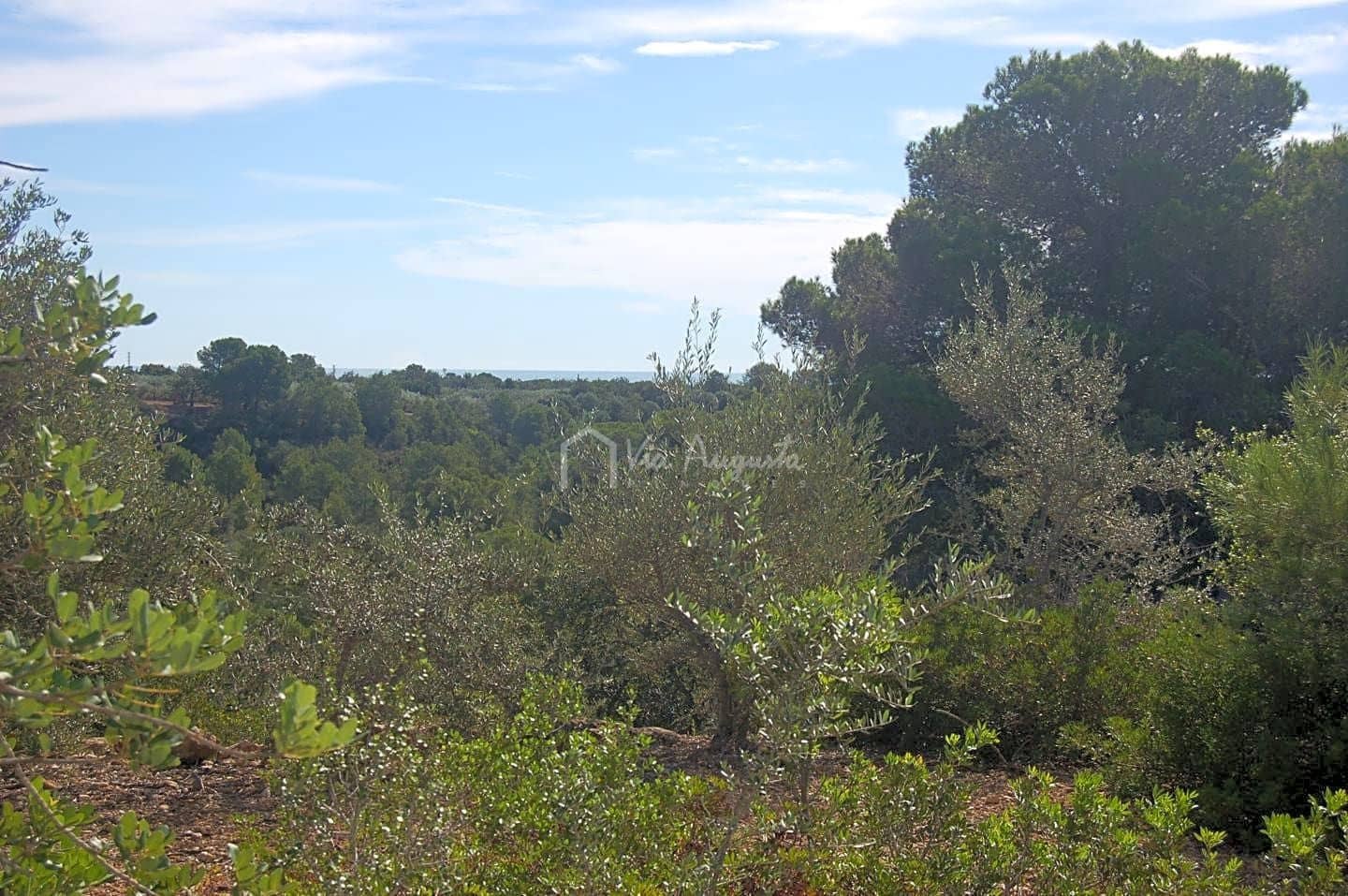 Grunde uden byggetilladelser til salg i L'Ampolla - € 80.000 (Ref: 6362528)