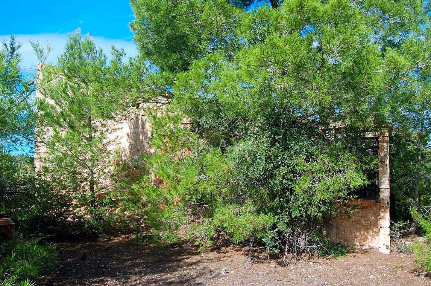 Grunde uden byggetilladelser til salg i L'Ampolla - € 80.000 (Ref: 6362528)