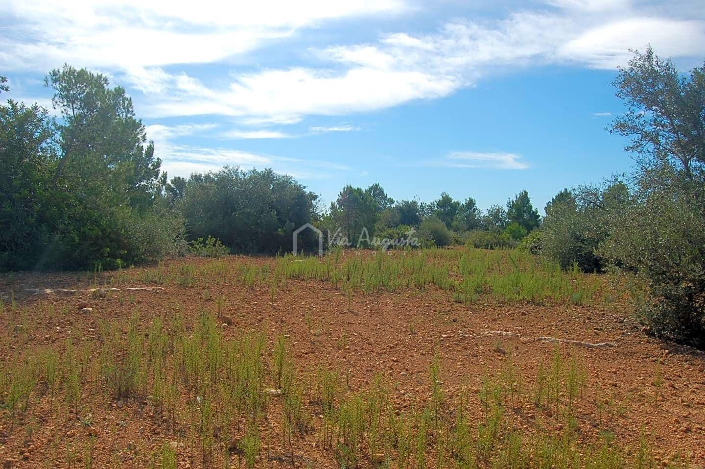 Grunde uden byggetilladelser til salg i L'Ampolla - € 80.000 (Ref: 6362528)