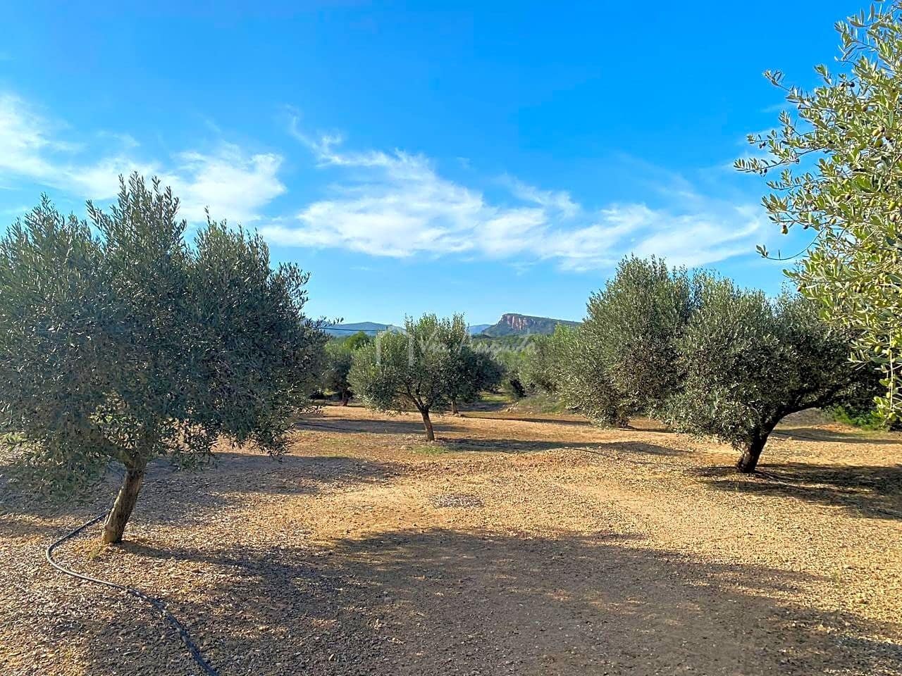 Grunde uden byggetilladelser til salg i Rasquera - € 45.000 (Ref: 6384705)