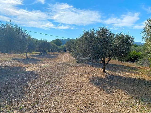 Undeveloped Land for sale in Rasquera - € 45,000 (Ref: 6384705)