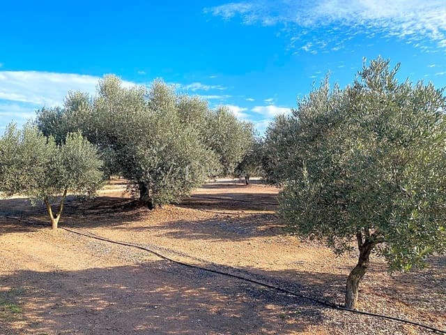 Undeveloped Land for sale in Rasquera - € 45,000 (Ref: 6384705)