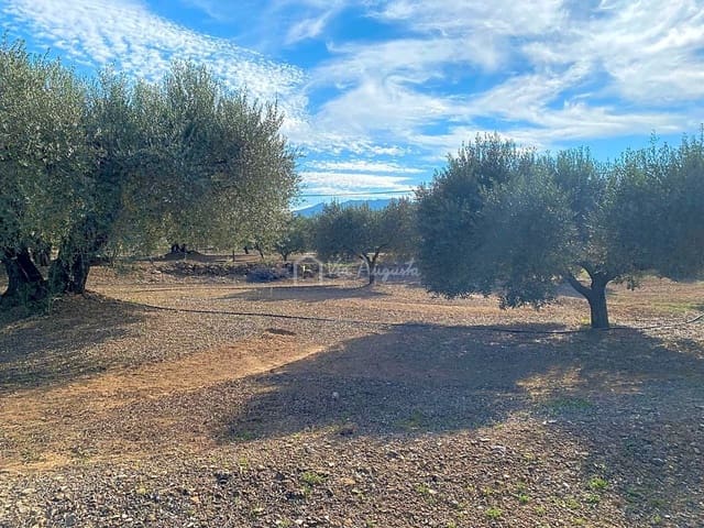 Undeveloped Land for sale in Rasquera - € 45,000 (Ref: 6384705)