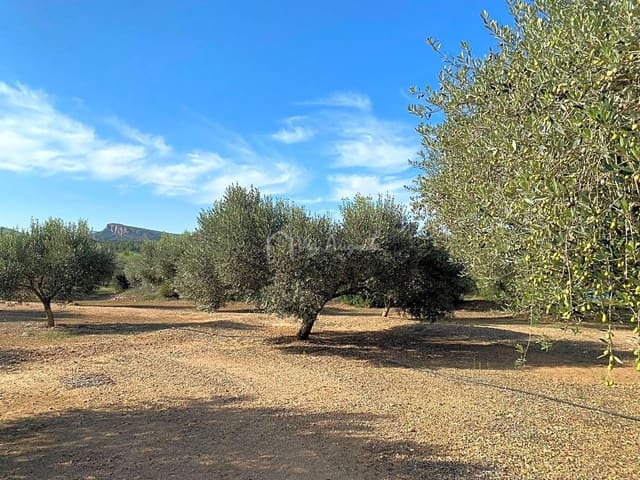 Undeveloped Land for sale in Rasquera - € 45,000 (Ref: 6384705)