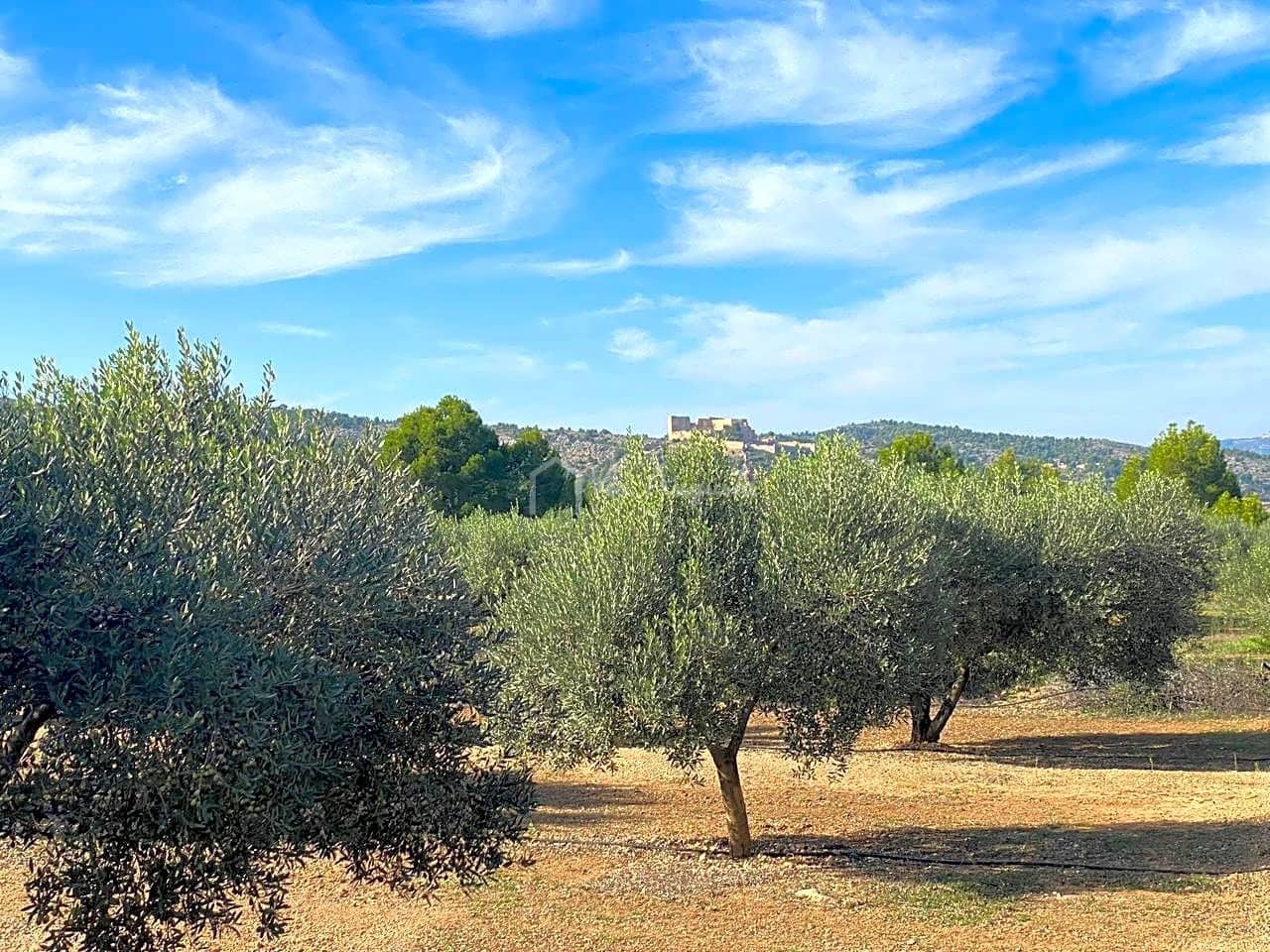 Grunde uden byggetilladelser til salg i Rasquera - € 45.000 (Ref: 6384705)