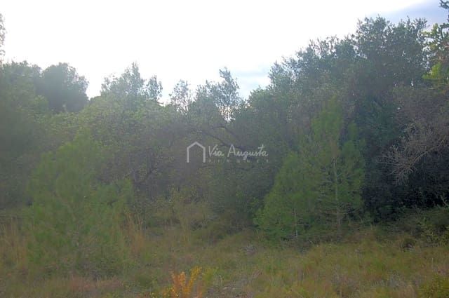 Rakentamaton maa myytävänä paikassa L'Ametlla de Mar - 59 000 € (Ref: 6440596)