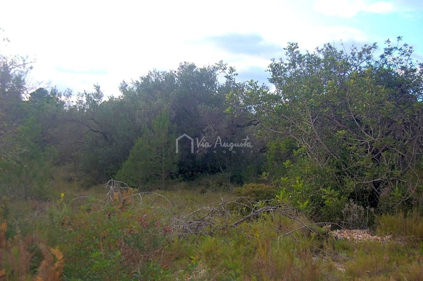 Rakentamaton maa myytävänä paikassa L'Ametlla de Mar - 59 000 € (Ref: 6440596)