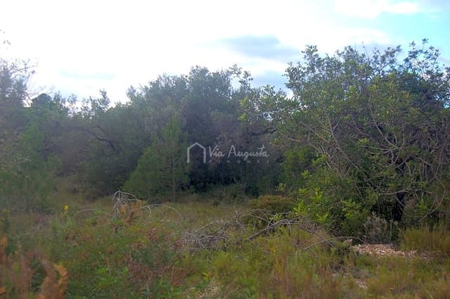 Rakentamaton maa myytävänä paikassa L'Ametlla de Mar - 59 000 € (Ref: 6440596)