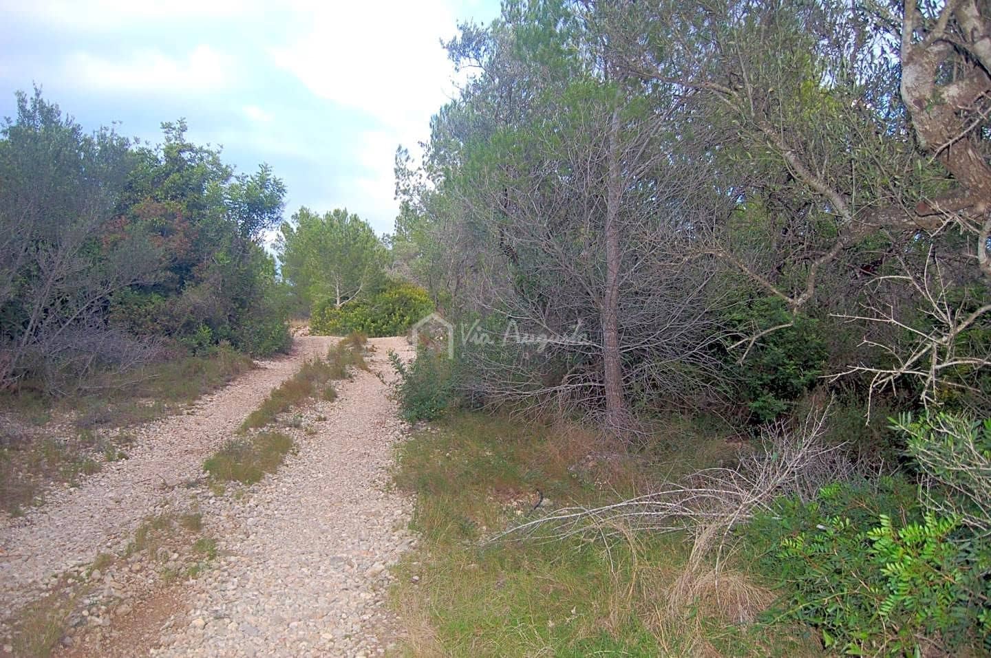 Rakentamaton maa myytävänä paikassa L'Ametlla de Mar - 59 000 € (Ref: 6440596)