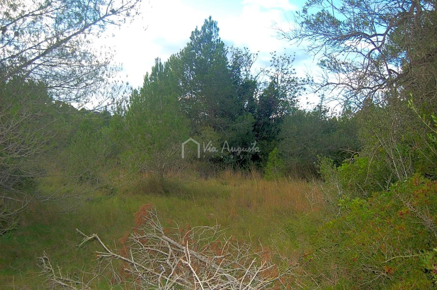 Rakentamaton maa myytävänä paikassa L'Ametlla de Mar - 59 000 € (Ref: 6440596)