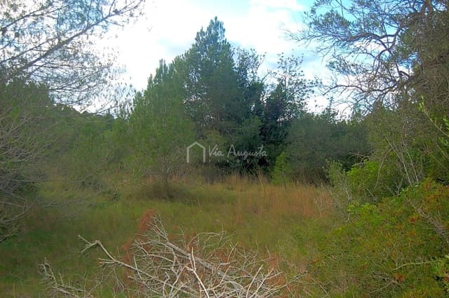 Rakentamaton maa myytävänä paikassa L'Ametlla de Mar - 59 000 € (Ref: 6440596)