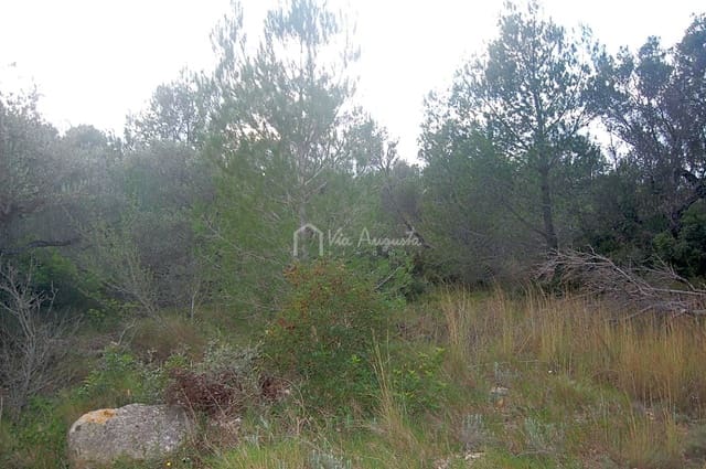 Rakentamaton maa myytävänä paikassa L'Ametlla de Mar - 59 000 € (Ref: 6440596)