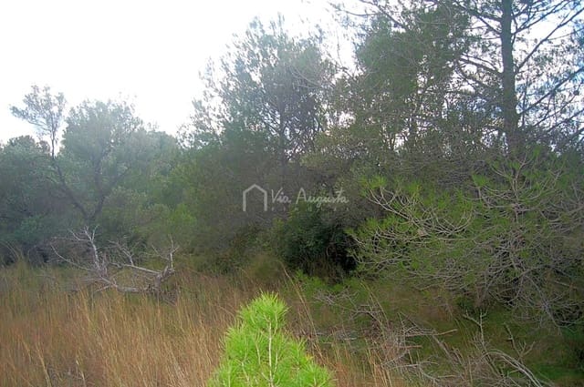 Rakentamaton maa myytävänä paikassa L'Ametlla de Mar - 59 000 € (Ref: 6440596)