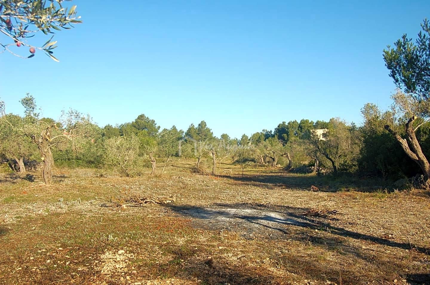 Grunde uden byggetilladelser til salg i El Perello - € 17.000 (Ref: 6444232)