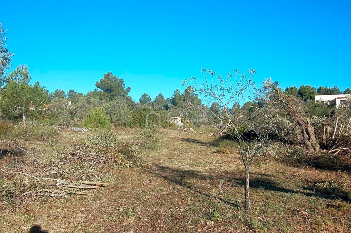 Grunde uden byggetilladelser til salg i El Perello - € 17.000 (Ref: 6444232)