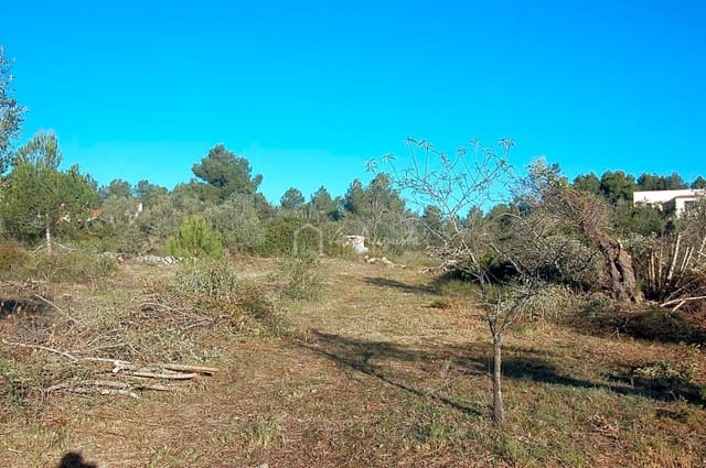 Grunde uden byggetilladelser til salg i El Perelló - € 17.000 (Ref: 6444232)