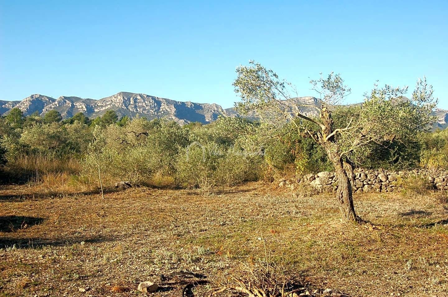 Grunde uden byggetilladelser til salg i El Perello - € 17.000 (Ref: 6444232)