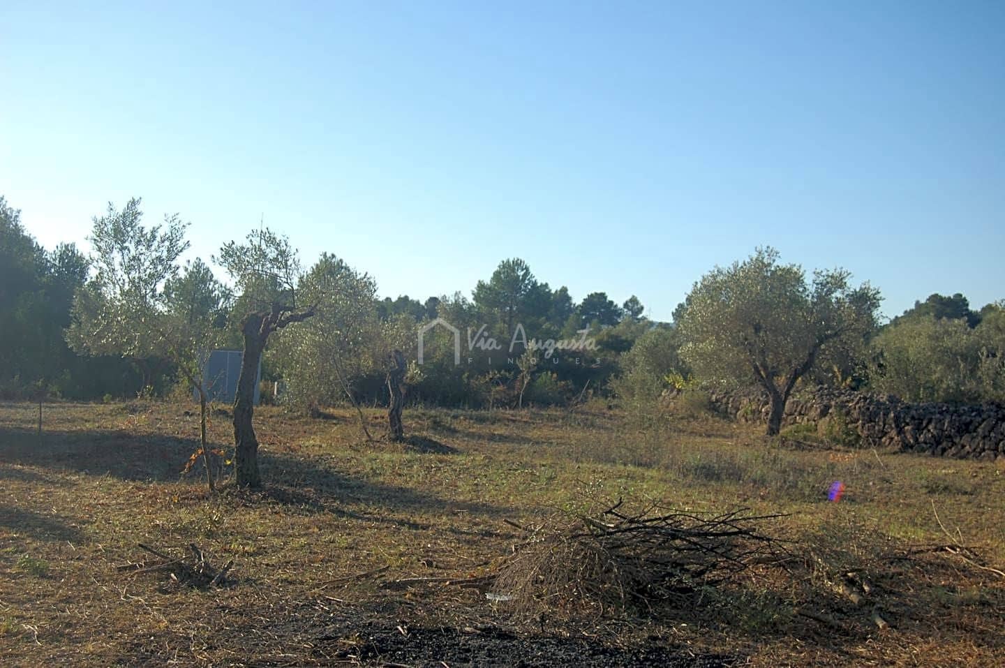 Grunde uden byggetilladelser til salg i El Perello - € 17.000 (Ref: 6444232)