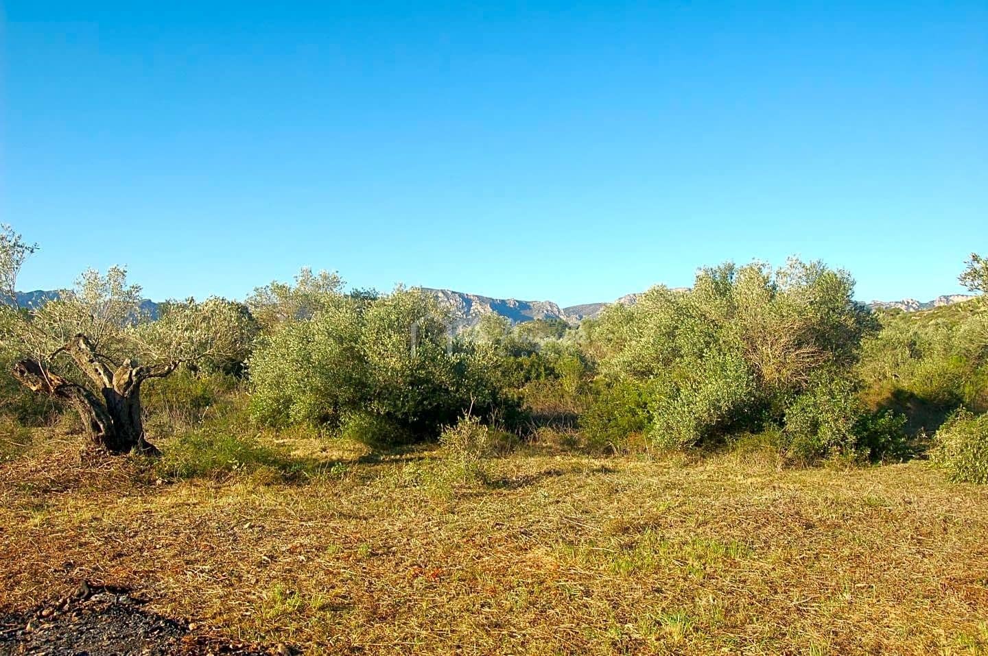 Grunde uden byggetilladelser til salg i El Perello - € 17.000 (Ref: 6444232)