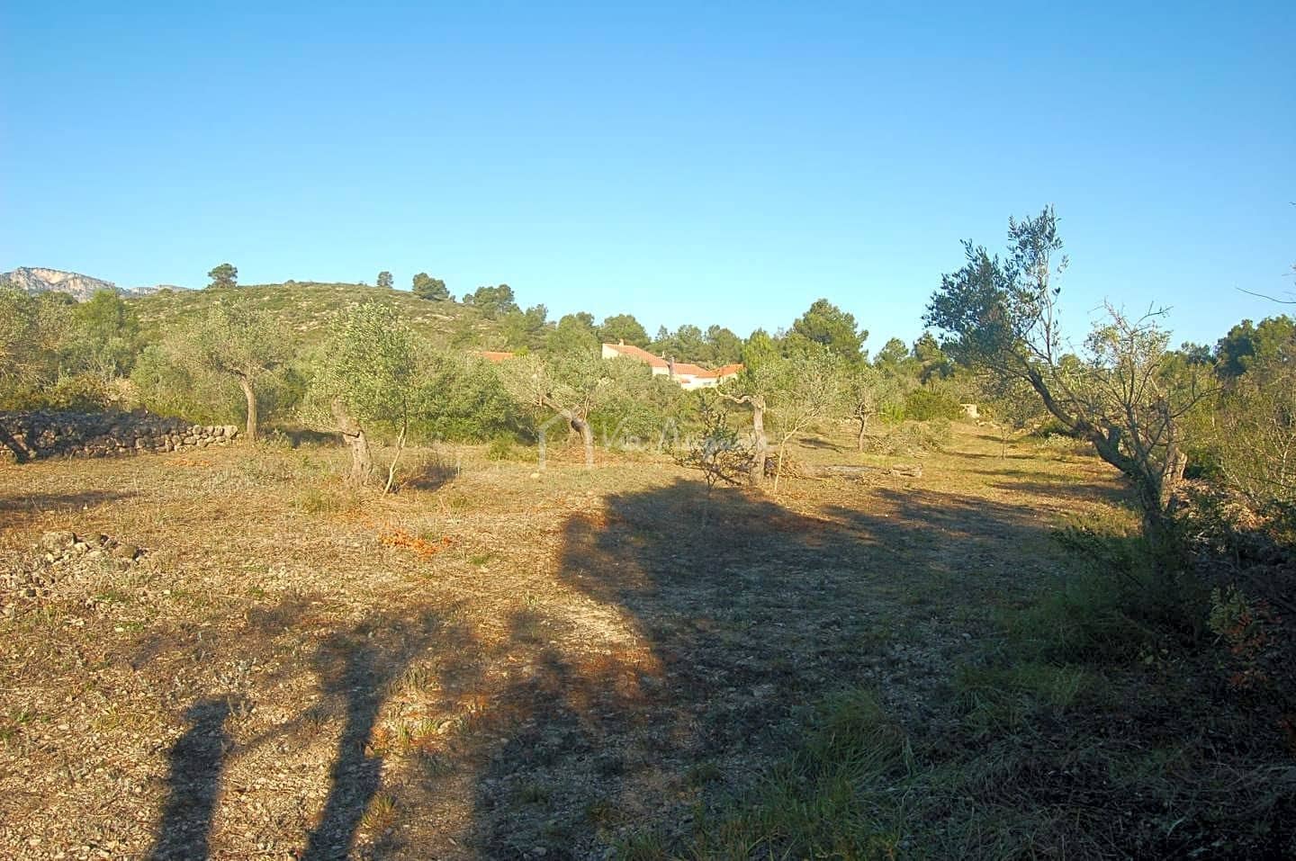 Grunde uden byggetilladelser til salg i El Perello - € 17.000 (Ref: 6444232)