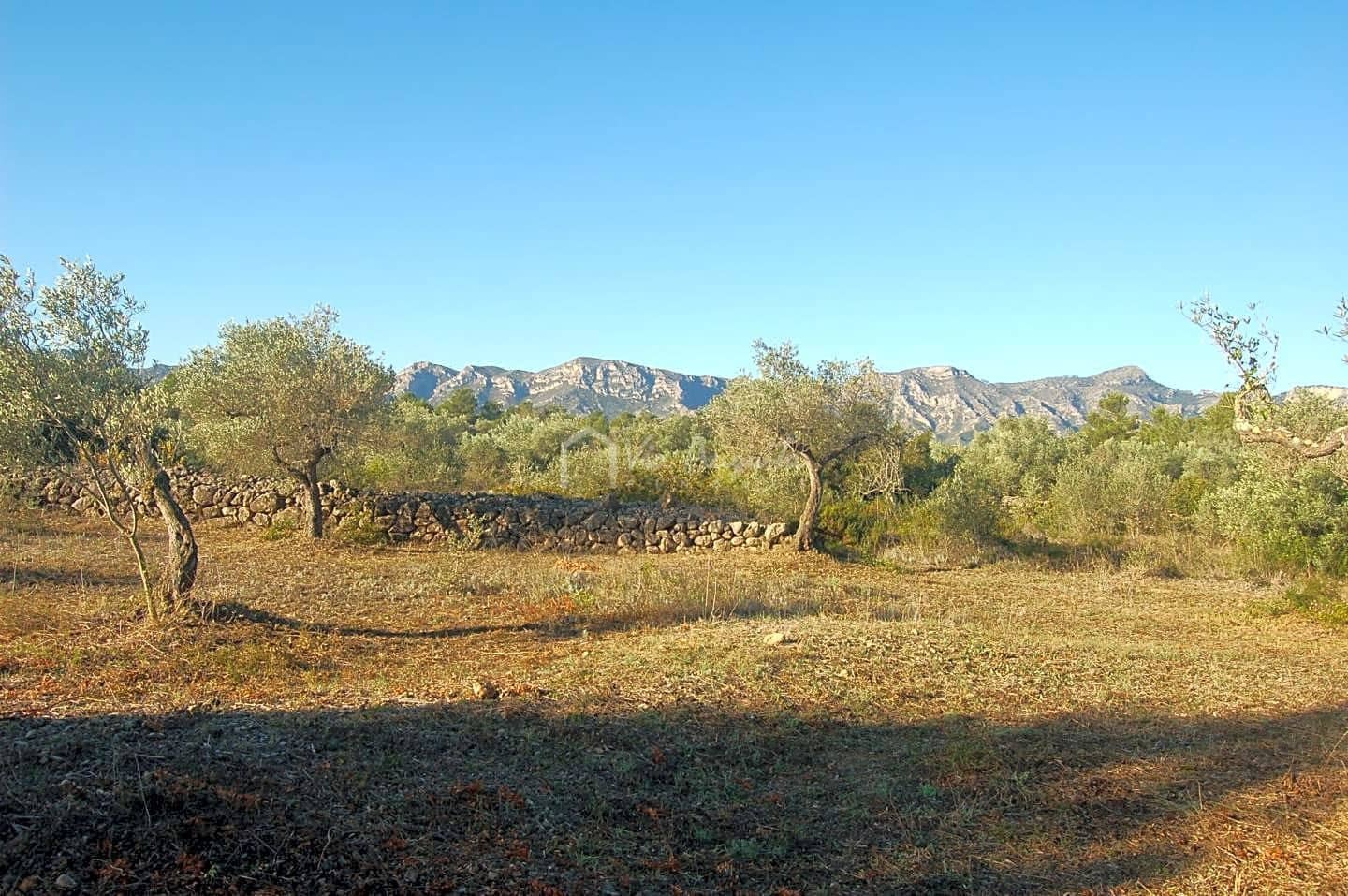 Grunde uden byggetilladelser til salg i El Perello - € 17.000 (Ref: 6444232)