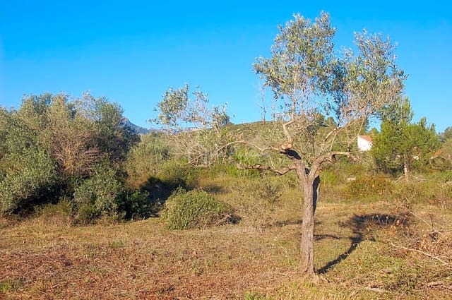 Grunde uden byggetilladelser til salg i El Perelló - € 17.000 (Ref: 6444232)
