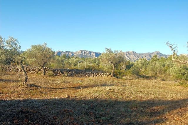 Grunde uden byggetilladelser til salg i El Perelló - € 17.000 (Ref: 6444232)