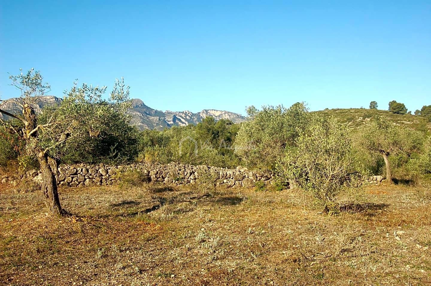 Grunde uden byggetilladelser til salg i El Perello - € 17.000 (Ref: 6444232)