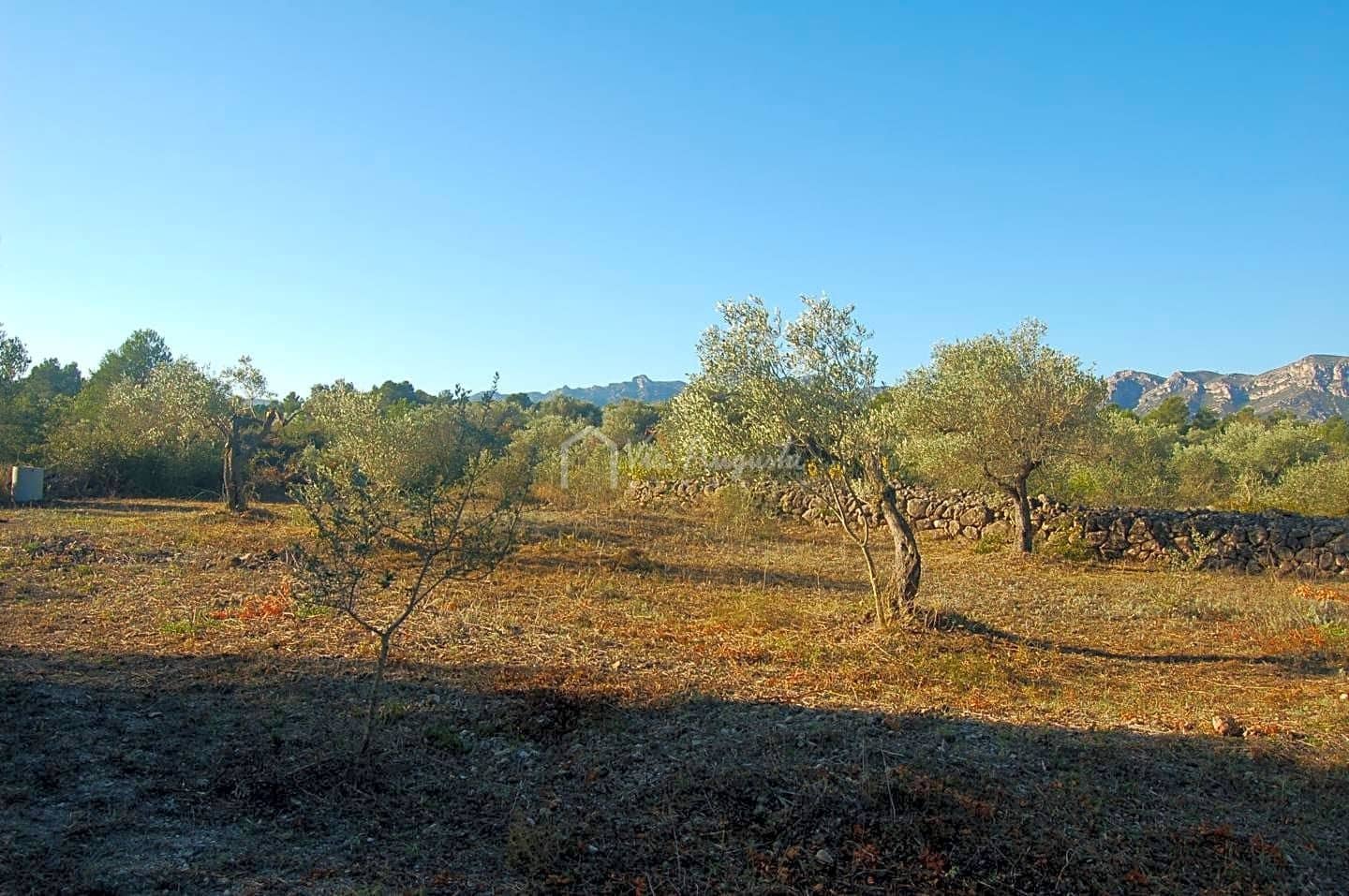 Grunde uden byggetilladelser til salg i El Perello - € 17.000 (Ref: 6444232)